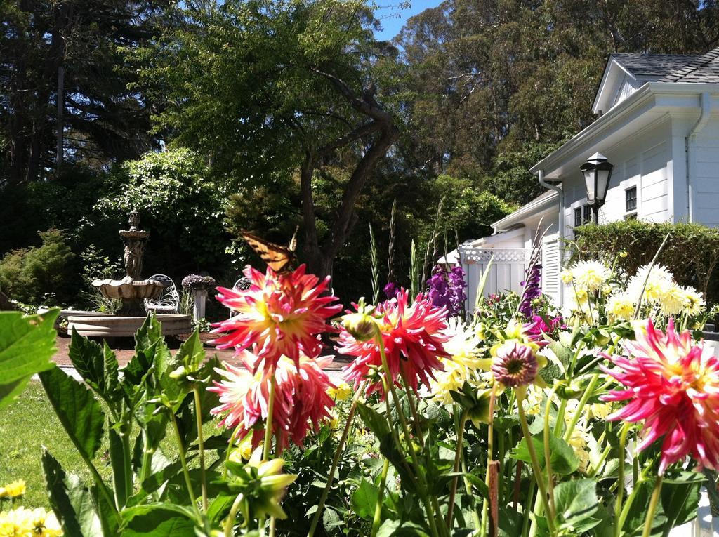 Monarch Cove Inn Capitola Bagian luar foto